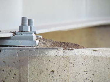 photo of bat guana next to a bridge structure anchor and its associated bolts