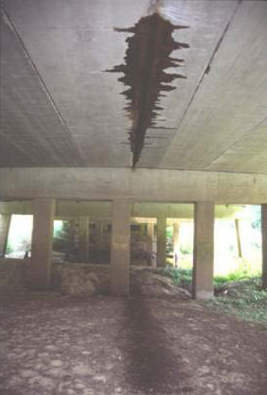 photo of the underside of a bridge, which shows staining along the bridge's longitudinal joint and bat guana on the ground below the stain