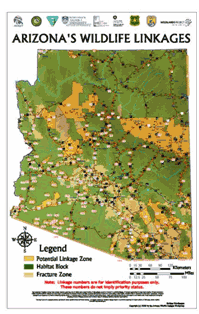 Map showing Arizona's Wildlife Linkages