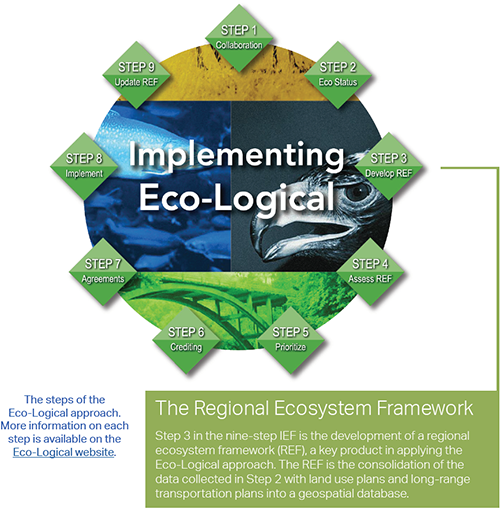 Graphic showing the nine steps of the Eco-Logical Process: Step 1: Collaboration; Step 2: Eco Status; Step 3: Develop REF; Step 4: Assess REF; Step 5: Prioritize; Step 6: Crediting; Step 7: Agreements; Step 8: Implement; and Step 9: Update REF. A text box points to Step 3 and contains the following text: The Regional Ecosystem Framework: Step 3 in the nine-step IEF is the development of a regional ecosystem framework (REF), a key product in applying the Eco-Logical approach. The REF is the consolidation of the data collected in Step 2 with land use plans and long-range transportation plans into a geospatial database. The image also includes this paragraph of text: The steps of the Eco-Logical approach. More information on each step is available on the Eco-Logical website.