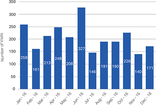 Visits to the Eco-Logical Starter Kit Website Per Month (2016): Jan (259), Feb (161), Mar (213), Apr (248), May (208), Jun (327), Jul (146), Aug (191), Sep (190), Oct (226), Nov (140), Dec (171)