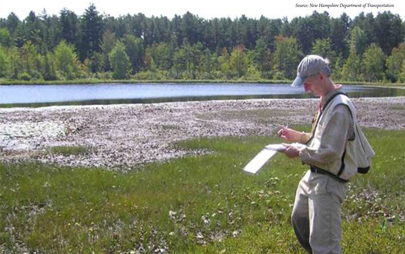 photo of a field worker taking notes at the edge of a wetland