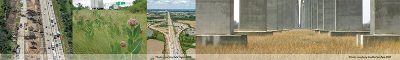 collage of four photos, courtesy of South Carolina DOT: an aerial photo of moderate traffic on a rural highway, a close-up photo of a field of wildflowers with a highway sign in the background, an aerial photo of a large highway interchange, and a close-up photo of two rows of concrete highway support columns