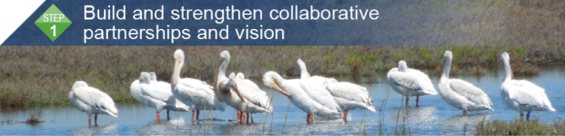 Step 1: Build and strengthen collaborative partnerships and vision