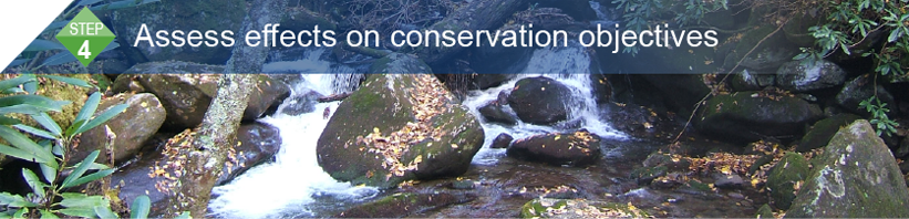 Step 4: Assess effects on conservation objectives