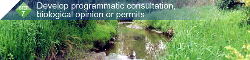 Step 7: Develop programmatic consultation, biological opinion or permits
