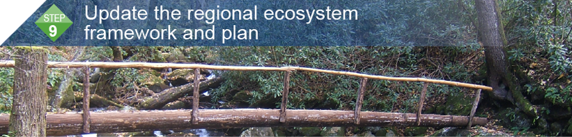 Step 9: Update the regional ecosystem framework and plan