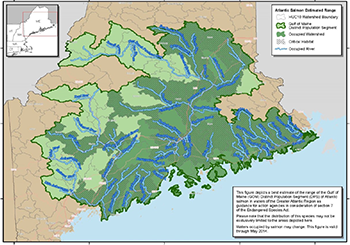 color-coded map of Maine displaying the estimated range of the Atlantic salmon