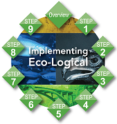 Eco-Logical 10 Steps