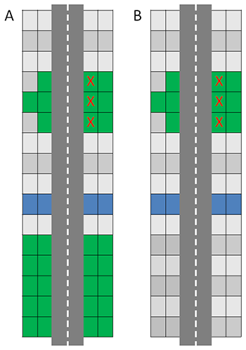 two graphical representations of roads, one showing more valued ecological attribute than the other