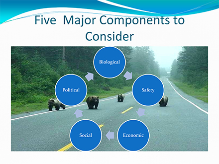 Slide: Five Major Components to Consider - biological, safety, economic, social, and political