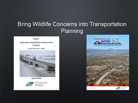 Slide: Bring Wildlife into Transportation Planning