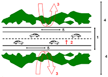 Visual representation of the five ecological impacts of roadways