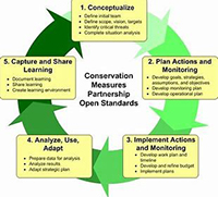 Visual representation of steps for the adaptive management approach