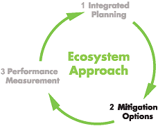 the ecosystem approach cycle