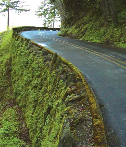 image of a country road