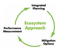 Graphic with the words Ecosystem Approach encircled by the names of the three elements (Integrated Planning, Mitigation Options, and Performance Measurement). Each element has a green arrow pointing clockwise from it to the next element.