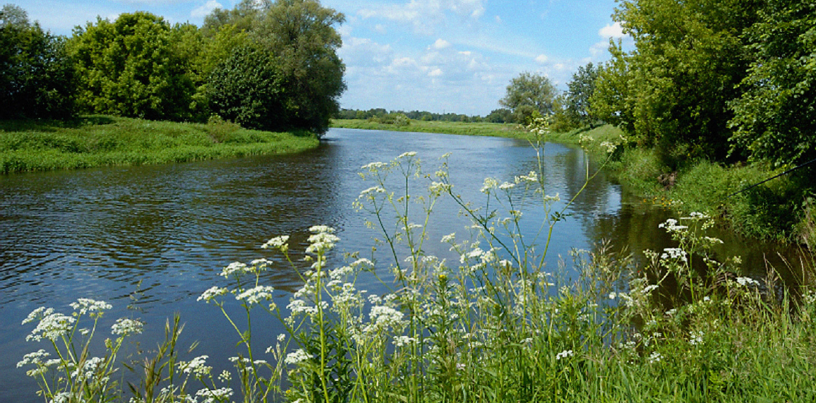 Photograph of a gentle river winding through a rural area on a bright sunny day. Lush green grass, trees, and wildflowers line the riverbanks.