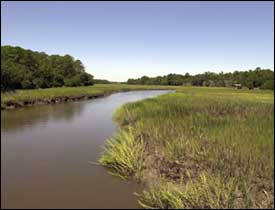 Photo of a curving waterway surrounded by grass and trees.