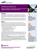Expediting Project Delivery Summary Brochure