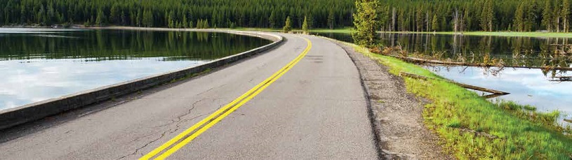 photo of a road in a wetland curving left toward a forest