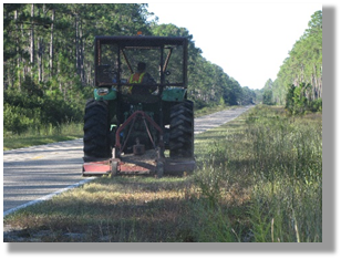 Photo 4-3: Reducing the frequency of mowing of vegetation beyond the clear zone benefits pollinators.