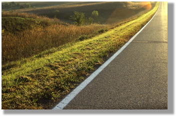 Photo 5-1: A diverse native roadside planting in Central Iowa.