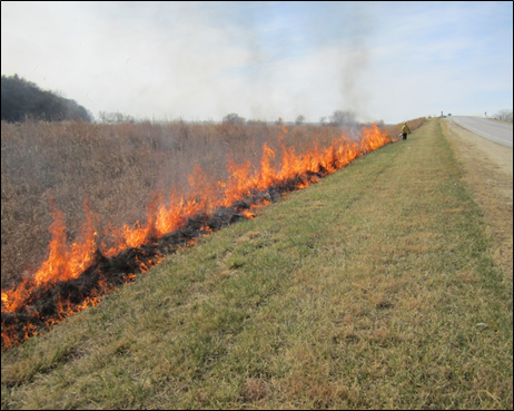 photo of a roadside burn