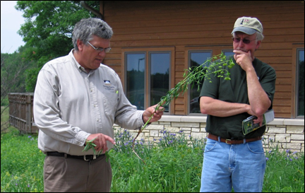 photo of native plants by roadside