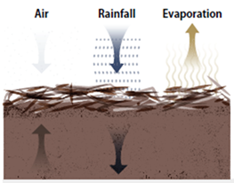 Graph of plan moisture stress - described below