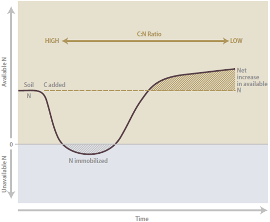 Graph showing rates of decomposition - described below