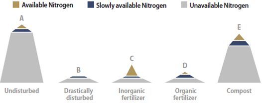 Graph showing nitrogen capital management - described below