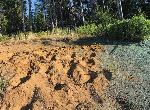 Photo of clay and sand landscape