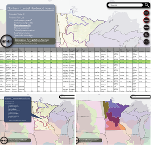 Image shows mockup of the future Ecoregional Revegetation Application (ERA) product