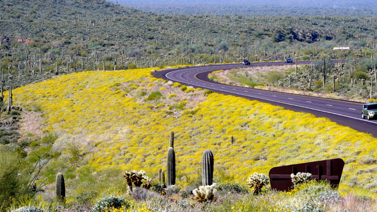 Photo of a winding road