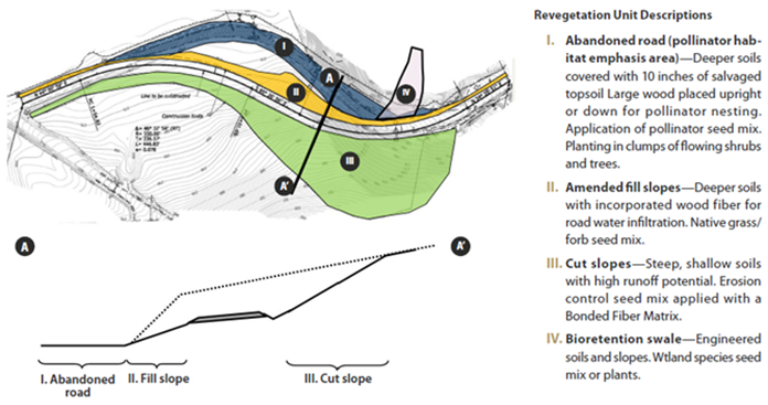 Example of cut and fill slopes described below