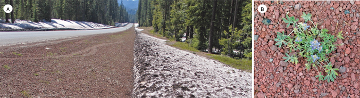 Photo of gravel road surfaces