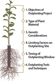 The Target Plant Concept