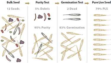 Graphic showing pure live seed as described below 