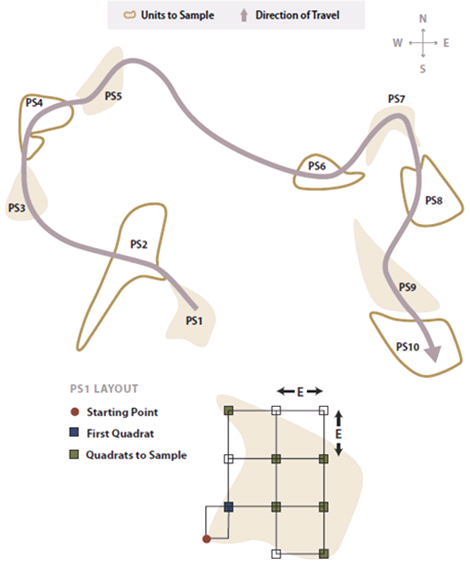 Illustration of Systematic sampling of dispersed areas