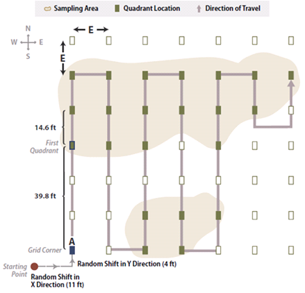 Illustration of rectilinear sampling areas