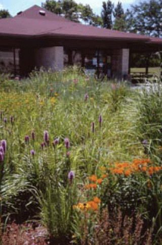 photo of a native demo garden