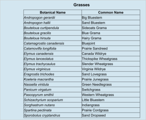 20 grasses listed by botanical name and common name.