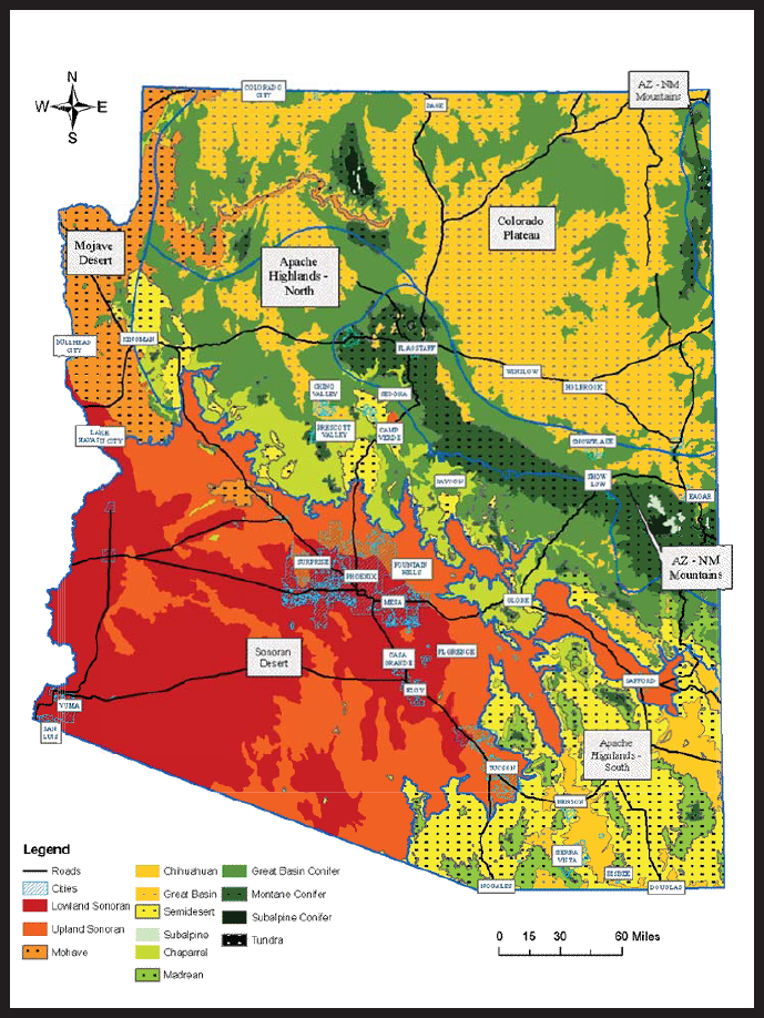 Map of Arizona ecoregions