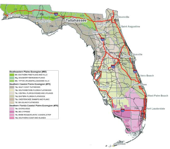 Map of Florida ecoregions