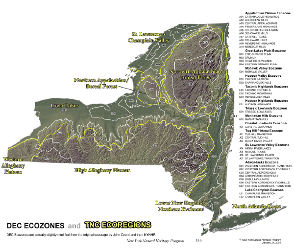 Map of New York ecoregions