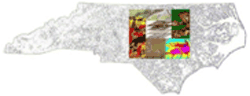 North Carolina Geographic Information System Archaeological Predictive Model Project logo.