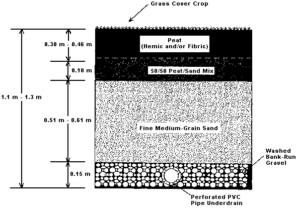 Perforated PVC pipe underdrain in washed bank-run gravel (0.15 m deep) under fine medium-grain sand (0.51-0.61 m) under 50/50 peat/sand mix (0.10 m) under 0.30-0.46 m of peat (hemic and/or fibric) under grass cover crop. Total depth 1.1-1.3 m.