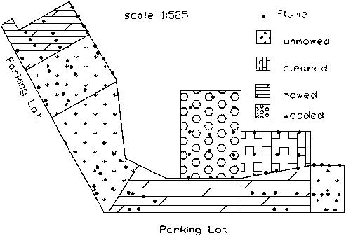 Overall shape of plots area is essentially L-shaped with the vertical slanted to the left. The 3 plots (east to west) on the horizontal line are a small unmowed plot, a mowed plot double the length of the first, and a mowed plot appoximately equal in length to the other two. North of the second plot is a cleared plot and west of this is a larger wooded plot of about the same width. The plots on the slant (south to north) are unmowed plot of approximately the same area as the third plot, an unmowed plot of the lenght of the second plot and a somewhat narrower mowed plot. Flume locations are noted at various location throughout plots 1, 2, 4, 5, 7, 8. Flume locations for plots 3 and 6 (the angle of the L) are clustered around the line separating the two plots.