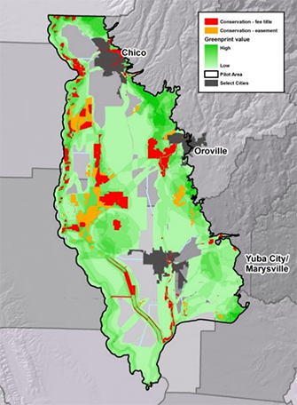 color-coded conservation priority map of the Sacramento Valley pilot area